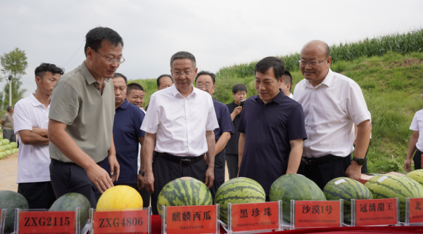 陕西靖边：田间成果“C位”亮相